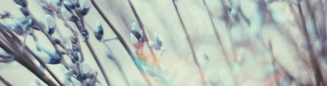 Holistic family practice and behavioral health clinic in Vero Beach, FL